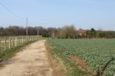 Ferme Ste-Germaine